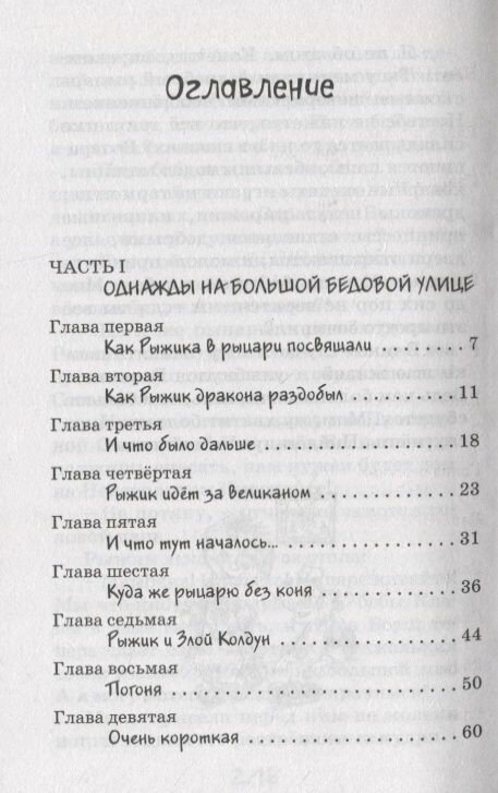 Рыцарь Рыжик — фото 1