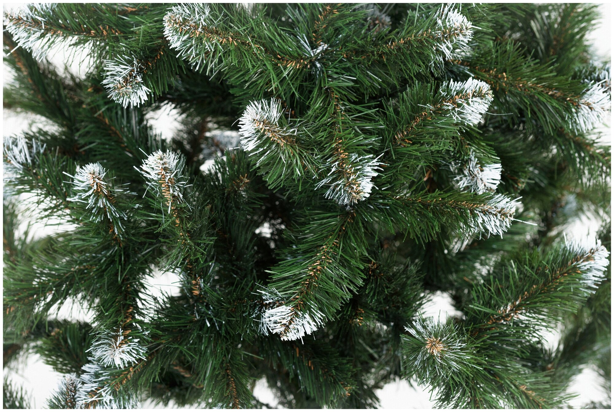 Ель лидия 220 — фото 1