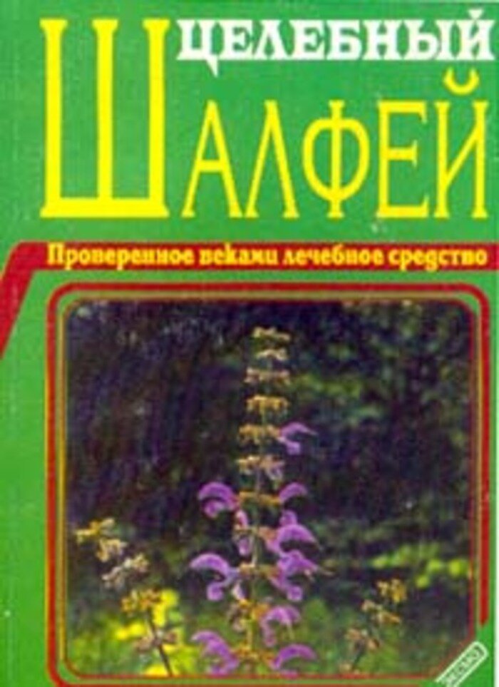 Целебный шалфей: Проверенное веками лечебное средство