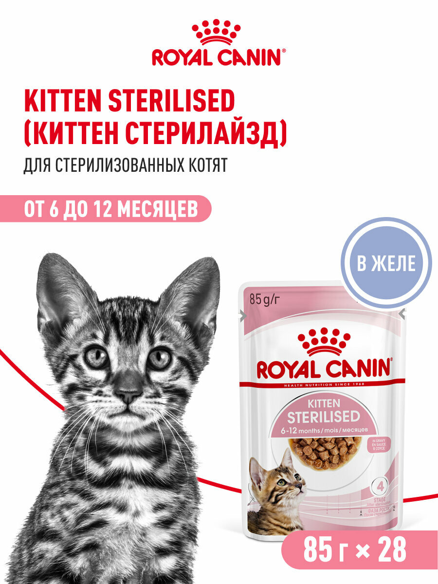 Изображение Влажный корм для стерилизованных котят Royal Canin Kitten Sterilised кусочки в желе, 28 шт по 85 г