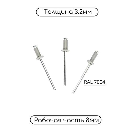   3, 28  RAL7004 500