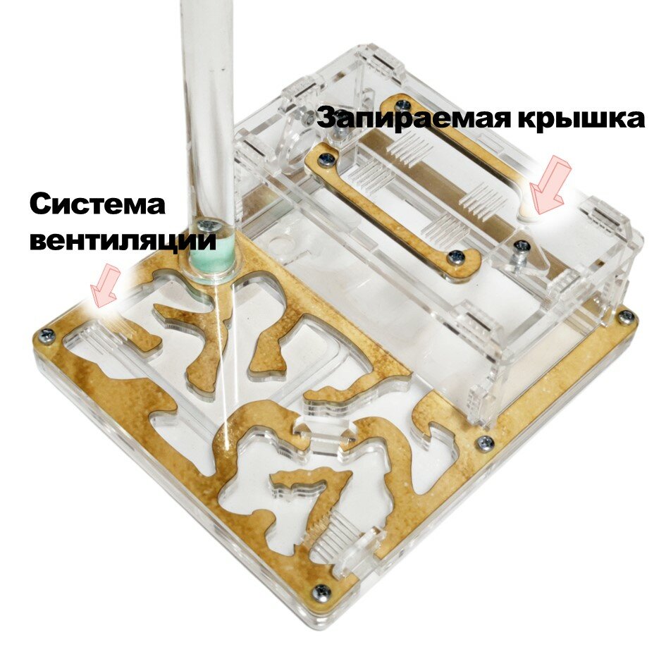 Стартовая муравьиная ферма 16х14 Песок - фотография № 5