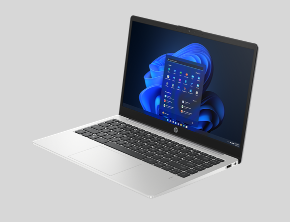 15.6" Ноутбук HP 256 G10 1920x1080, RAM 8 ГБ, DDR4, SSD 512 ГБ, Windows 11 Pro, 844F9PC1B2B, Silver