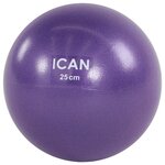 Мяч для пилатеса ICAN IFA-401, PVC, 25 см, фиолетовый - изображение