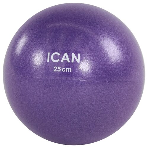 фото Мяч для пилатеса ican ifa-401, pvc, 25 см, фиолетовый