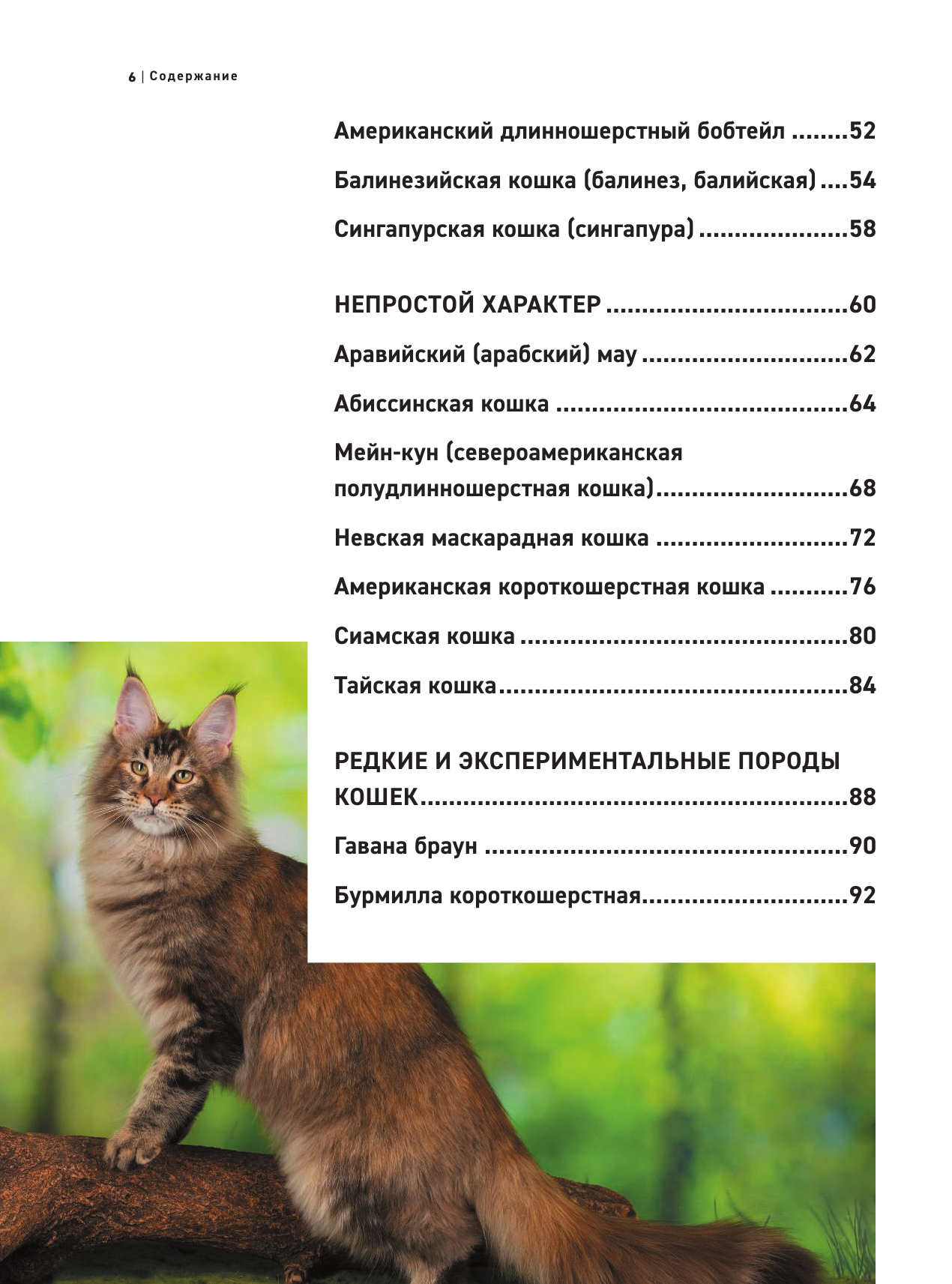 Все породы кошек. Большая иллюстрированная энциклопедия - фото №18