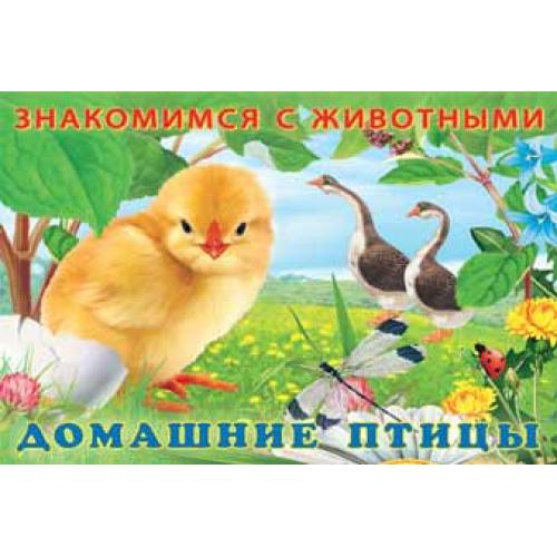 Домашние птицы (Арт.27711) (Фламинго)