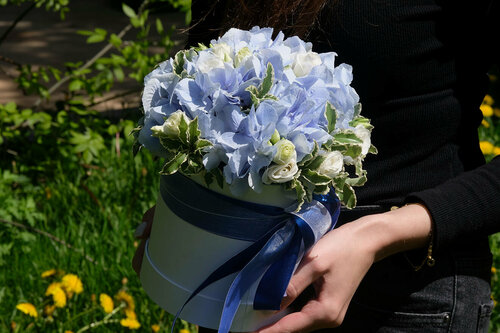 Изображение товара Композиция из гортензии в коробке