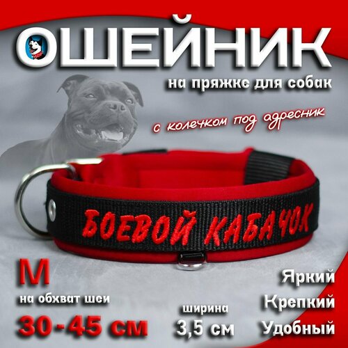 Ошейник для собак Buddy team на пряжке, с вышивкой боевой кабачок, ширина 3,5 см, с мягким подкладом для средних и крупных пород, размер M