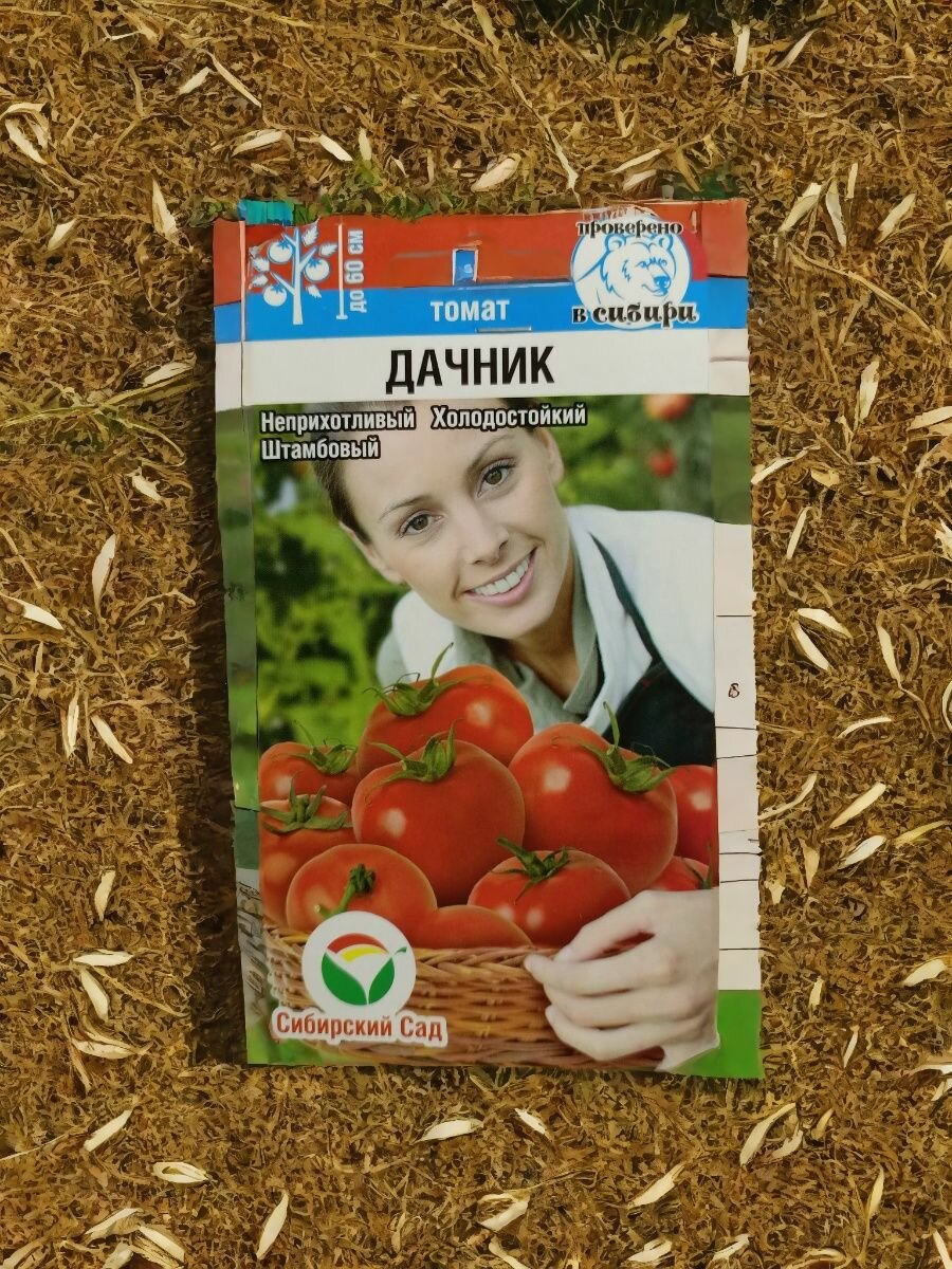 Семена скороспелого томата Дачник   низкорослый  холодоустойчивый  неприхотливый  для открытого грунта  Сибирский Сад