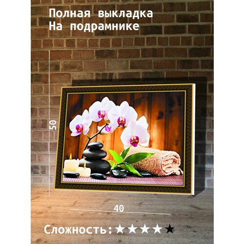 Алмазная мозаика 40х50