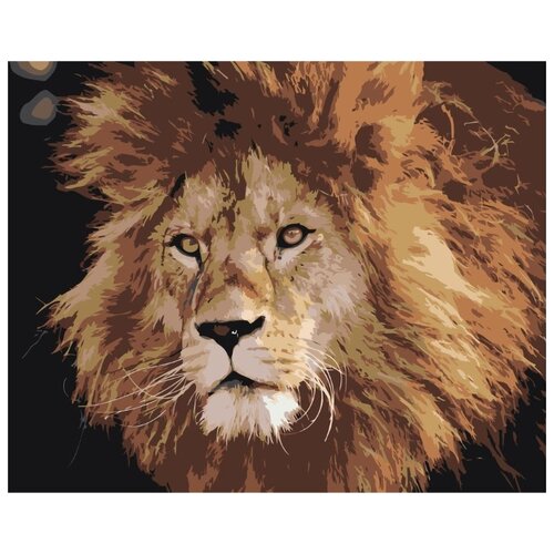 Картина по номерам Лохматый лев, 40x50 см