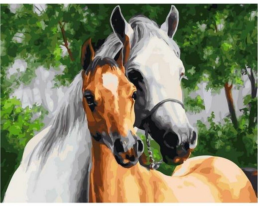 Картина по номерам Лошадь с жеребенком 40х50 см
