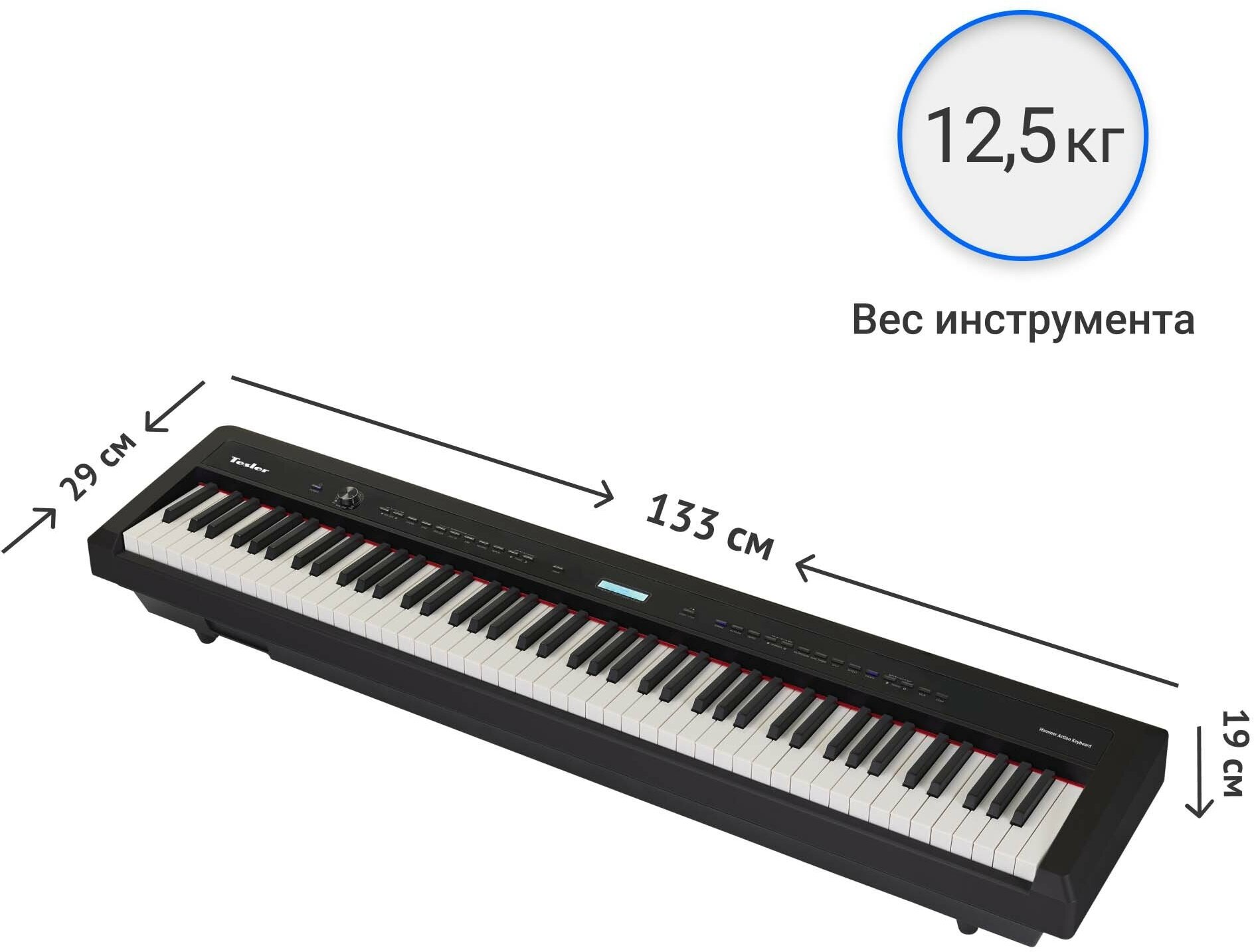 Цифровое пианино TESLER STZ-8800 BLACK