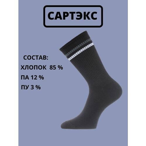 Носки САРТЭКС, 3 пары, размер 27, черный