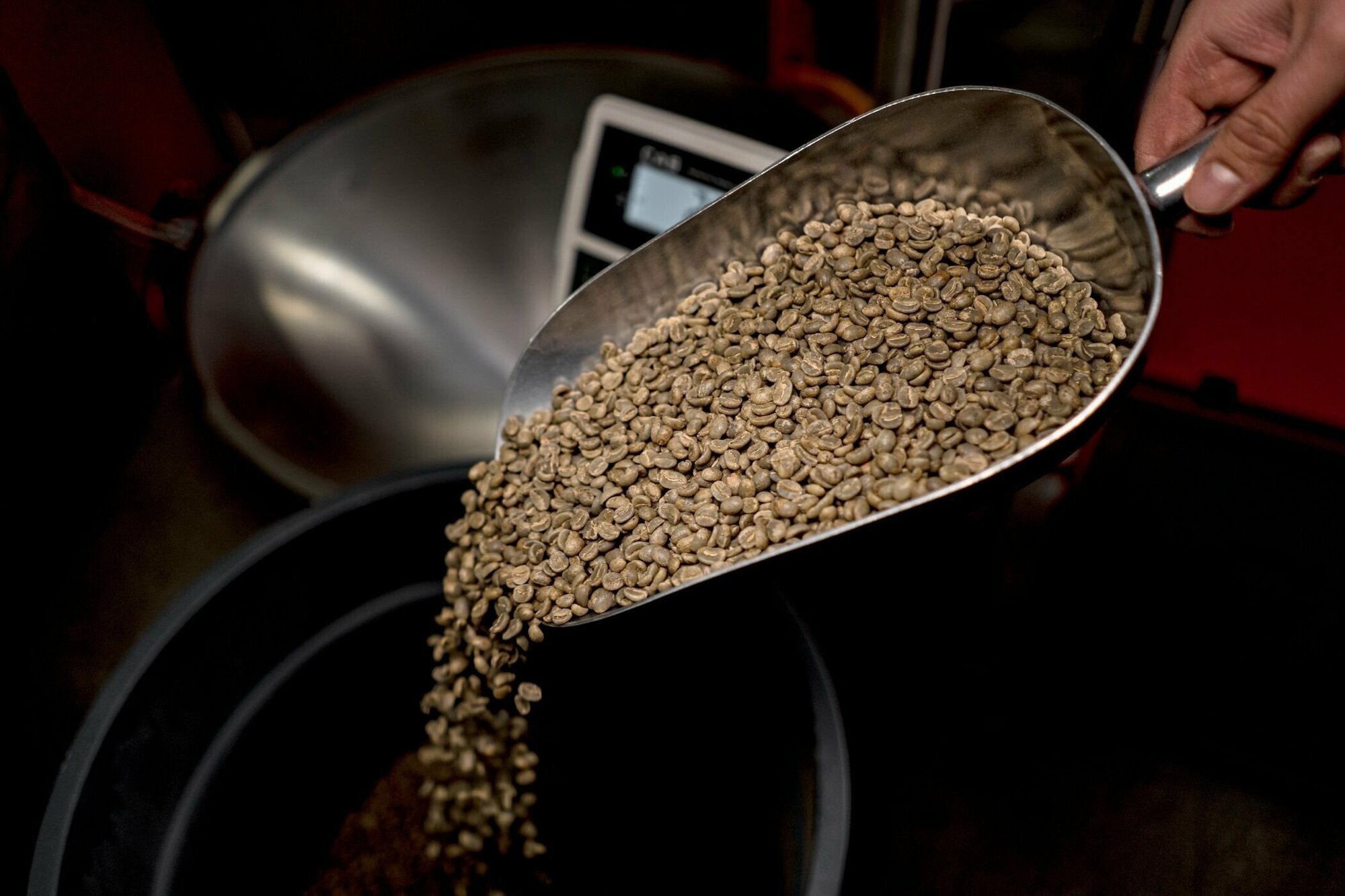 Кофе молотый под фильтр KOF. Уганда Маунт Элгон 250 г (100% арабика, свежая обжарка) - фотография № 5