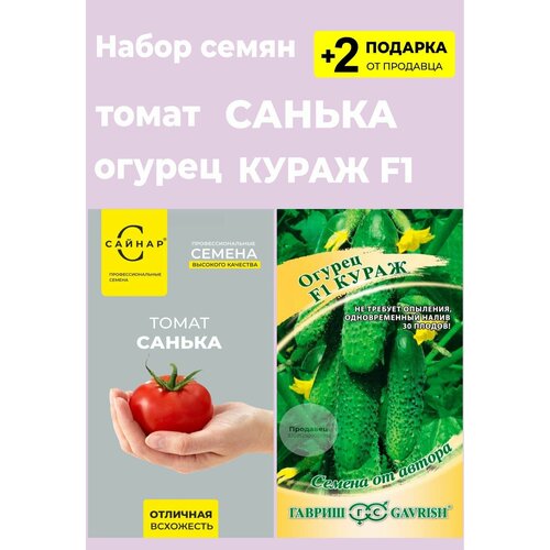 Семена томат "Санька", 20 сем.+ огурец "Кураж F1", 10 сем. + 2 Подарка