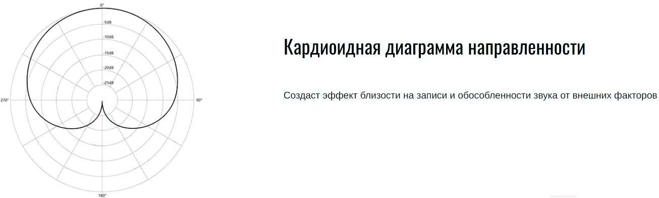 Микрофон Ritmix - фото №11