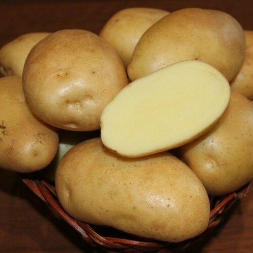 Картофель семенной Гулливер (2 кг) картофель гулливер 2кг