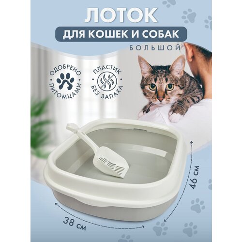 Лоток для кошек