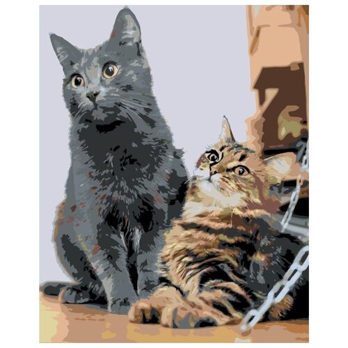 Картина по номерам Счастливые коты, 40x50 см