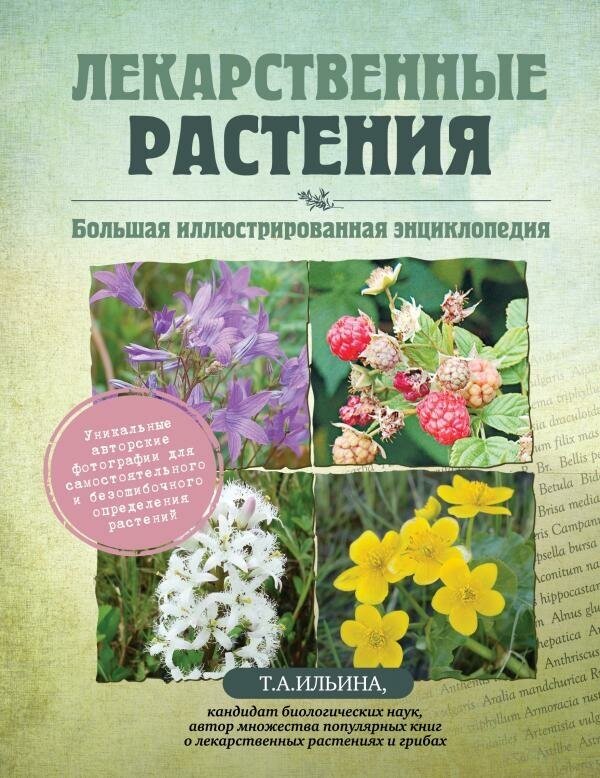 Ильина Т. А. Лекарственные растения. Большая иллюстрированная энциклопедия. Подарочные издания. Красота и здоровье