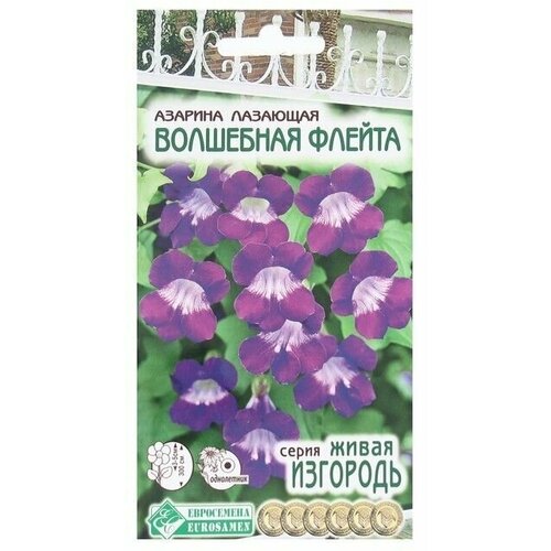 Семена Цветов Азарина лазающая Волшебная Флейта, 5 шт 4 упаковки волшебная флейта