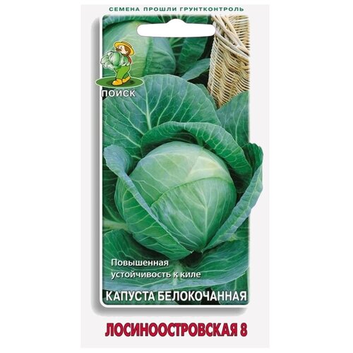 семена капуста б к лосиноостровская 8 гавриш 0 5гр Семена ПОИСК Капуста белокочанная Лосиноостровская 8 0.5 г