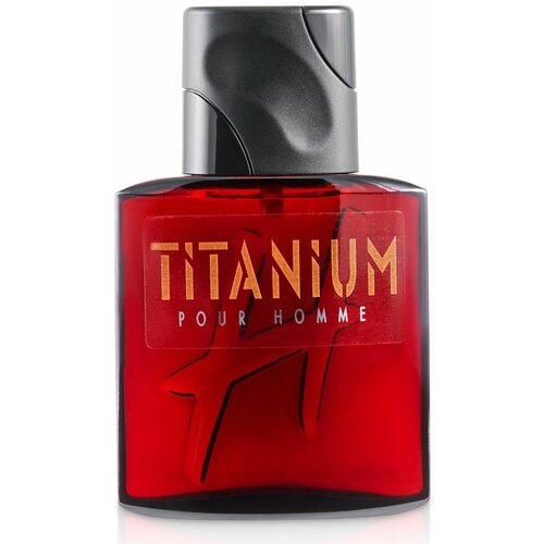 Daniel Hechter (parfums H Pour Homme) Titanium Pour Homme Туалетная вода 75 мл