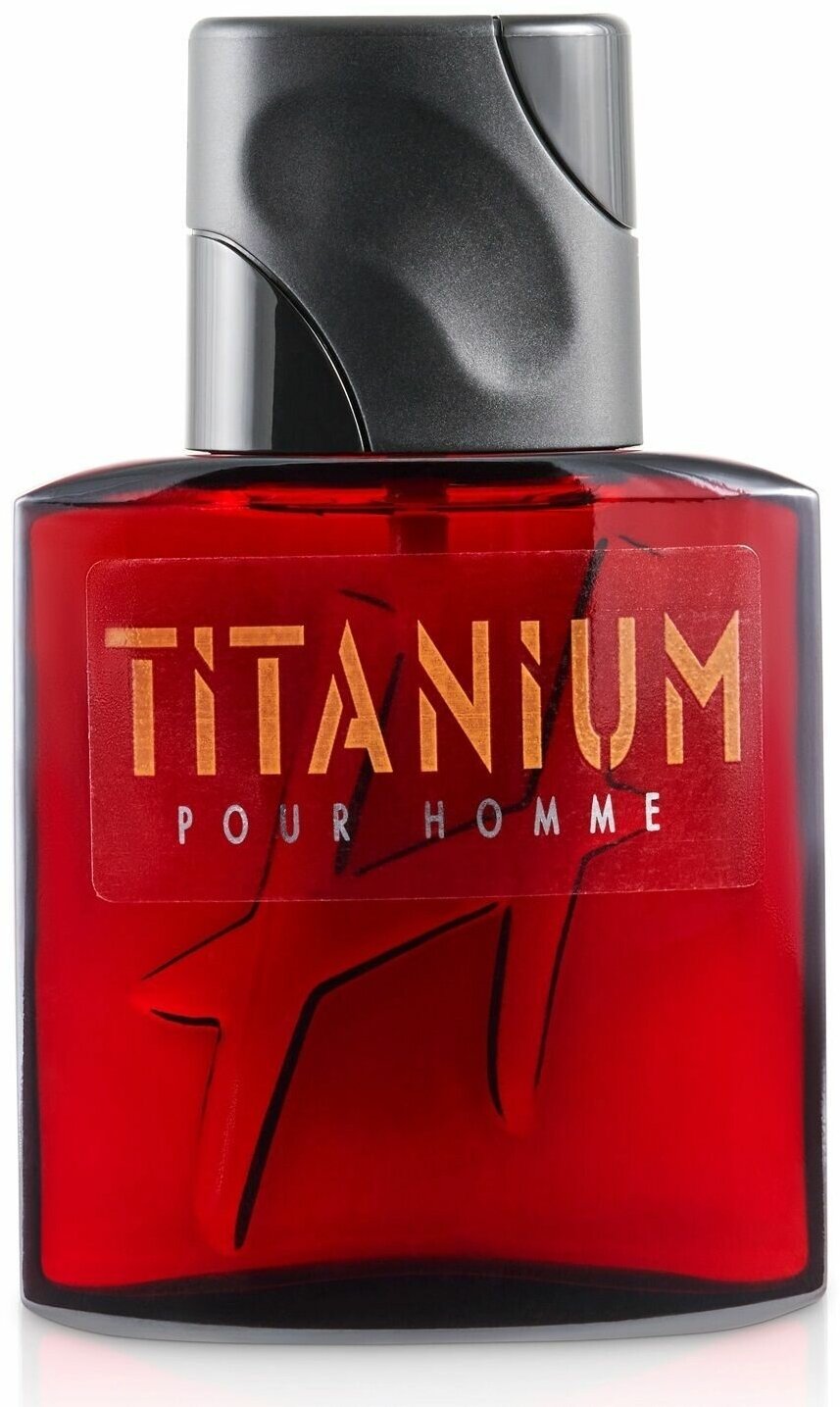 Daniel Hechter (parfums H Pour Homme) Titanium Pour Homme Туалетная вода 75 мл