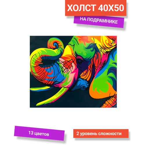 картина по номерам 40х50 paintboy домик Картина по номерам на холсте 40х50. Радужный слон Paintboy