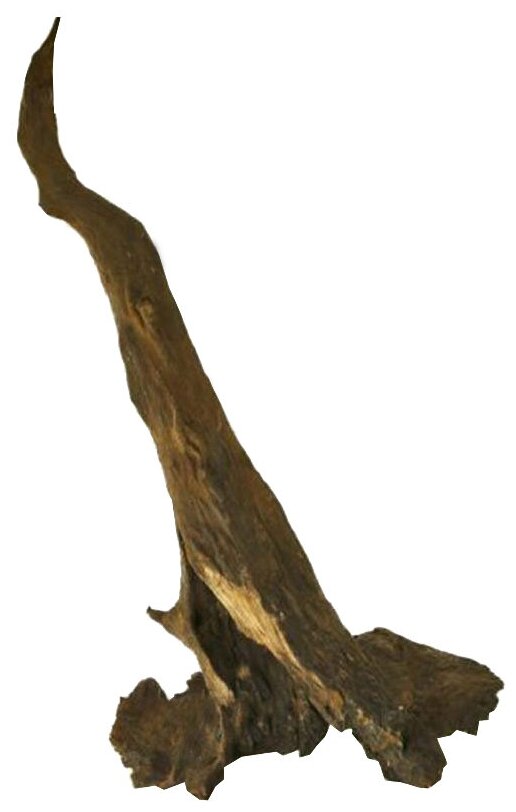  ""     UDeco Chinese Driftwood L, 40-60, 1 