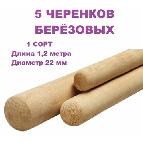 Черенок для лопаты, тяпки, швабры деревянный 22 мм 1,2 метра