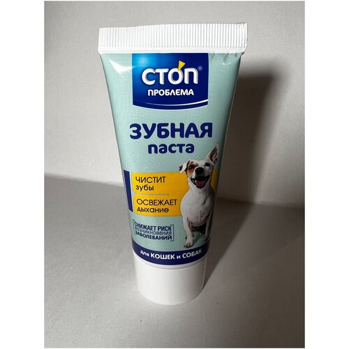 Зубная паста Стоп Проблема 60мл