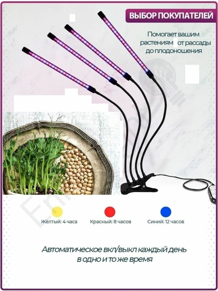 Фитолампа для выращивания растений с таймером на прищепке - фотография № 3