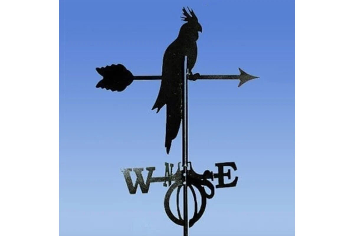 GLORI ir Ко Флюгер Попугай — фото 1