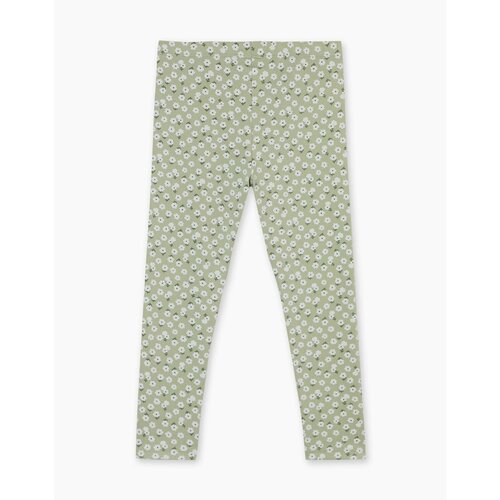 Рейтузы  Gloria Jeans для девочек, размер 2 года, зеленый
