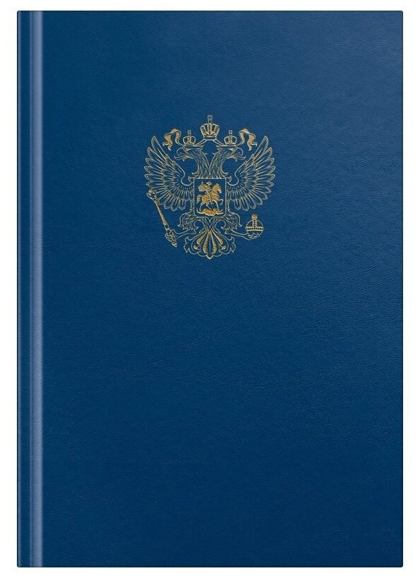 Книга учета OfficeSpace А4, 96 листов, 200х290 мм, бумвинил, синий, блок ный с гербом 315594