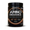 Аминокислотный комплекс QNT Amino Endurance (350 г) - изображение