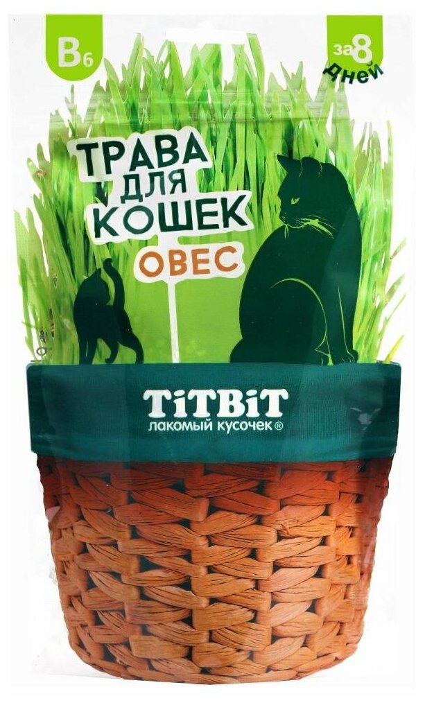 Лакомство для кошек TiTBiT Трава овес для проращивания 60 г - фотография № 7