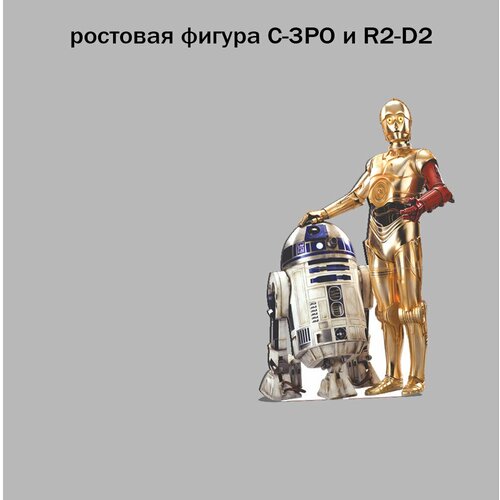C-3PO и R2-D2 ростовая фигура