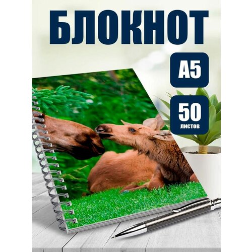 Блокнот А5 Дикие животные