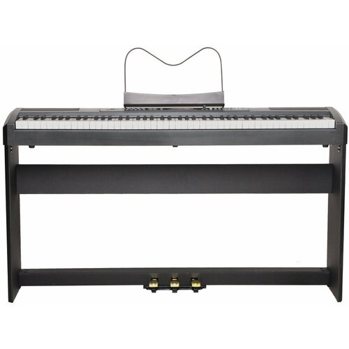 Цифровое пианино Ringway RP-35BK