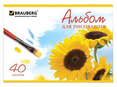   , 4, 40 , ,  , BRAUBERG, 200283 , "" (2 ), 102851