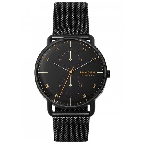 Мужские наручные часы Skagen SKW6538