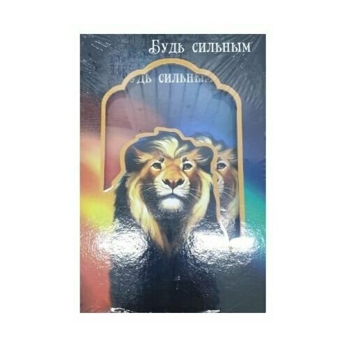 Подарочный набор Блокнот А5 с замочком ручкалев 492₽