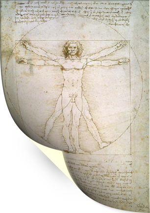 Картина для интерьера "Витрувианский человек", Леонардо да Винчи, печать на холсте (30х40 см / без подрамника)