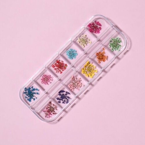 Сухоцветы для маникюра 12 видов пластик футл пакет QF 600₽