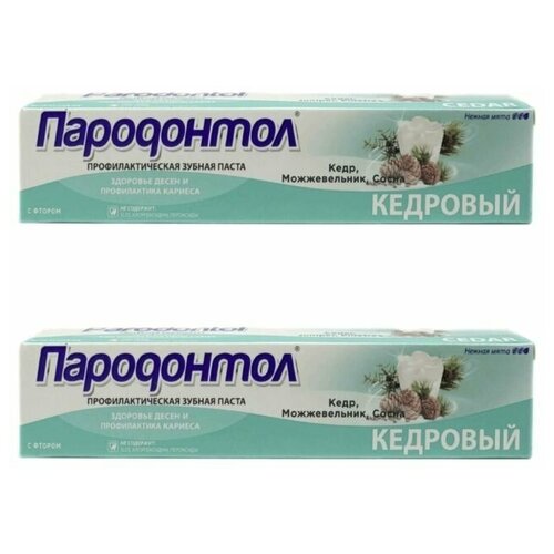 Пародонтол Зубная паста Кедровая,63гр,2 шт зубная паста пародонтол кедровый бальзам 63 г 1 шт