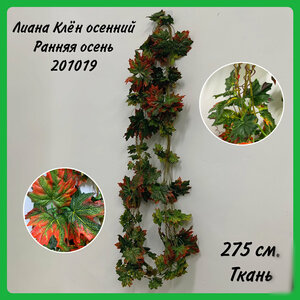 Основная фотография от вендора